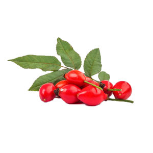 Melhor quantidade <span class=keywords><strong>Rosehip</strong></span> Fruit Extract <span class=keywords><strong>Rosehip</strong></span> Extract <span class=keywords><strong>Powder</strong></span> - Product Image 2