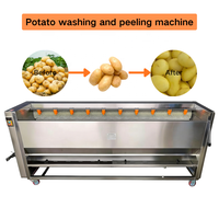 Fabrieksgroothandelsprijs aardappel schilmachine aardappel reinigingsmachine wortel aardappel schiller borstelrol wasmachine