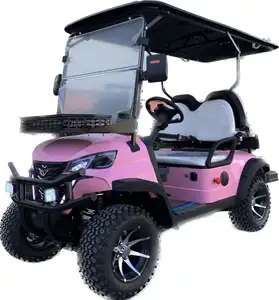 Wholesale Supplier Latest Design Golf Cart 2 Seat Golf Carts Electric Electric Golf Cart 2 Seater