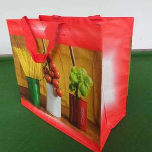 Sac de courses en tissu non tissé écologique personnalisé en gros, sac de courses en plastique PP de qualité alimentaire, vente chaude en supermarché - Product Image 4
