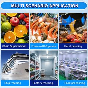 Compresor Semihermético <span class=keywords><strong>Carrier</strong></span> de 7.5 HP y 50 Hz, Compresor Reciprocante 06DA8252BA31, Compresor de Refrigeración por <span class=keywords><strong>Aire</strong></span> - Product Image 3