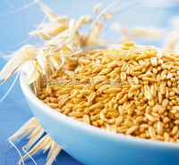 Poudre de bêta-glucane d'avoine certifiée Halal et Casher, soluble dans l'eau, extrait d'avoine en poudre, additif alimentaire, matière première pour soins de la peau avec COA