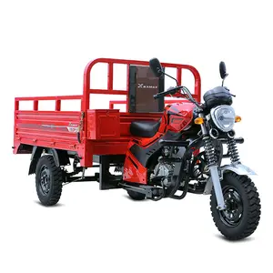 Stable Operation Custom Cheap 3 Wheeled 12v9a Tricycle Motorcycle Cargo Tricycle For Adults
