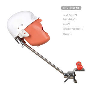 Table Phantom Head Simulator <strong>Dental</strong> <strong>Dental</strong> Simulator Head <strong>Dental</strong> <strong>Simulation</strong> <strong>Unit</strong> Price - Product Image 3