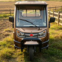 Tricycle de transport de bétail pour le transport de marchandises avec certificat EEC COC CE, moteur 1500w, polyvalent et adaptable à divers scénarios européens