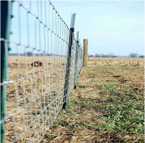 Rouleaux de clôture en treillis métallique carré galvanisé bon marché, clôture en treillis pour chevaux, fourniture d'usine - Product Image 6