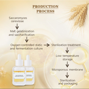 Private Label riparazione dell'umidità per la cura della pelle crema per il viso cosmetici con estratto di materie prime di SACCHAROMYCES CEREVISIAE - Product Image 3