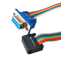 Cable de Conexión Personalizado DB9 Hembra a IDC con Cinta Arcoíris para Electrónica Industrial