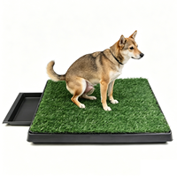 Produits pour animaux de compagnie : Toilettes intérieures pour chien, Bac à litière pour chien, Équipement d'entraînement pour chien, Pot de toilette d'apprentissage, Meuble pour chien, Toilette pour chien avec drain