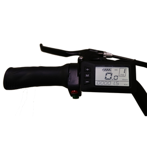 Triciclo eléctrico con batería asistida y pedal, triciclo eléctrico con ruedas anchas, batería asistida - Product Image 6