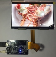 Module LCD 2160x3840 4K(max) TL050 hdm-mipi DSI alimenté par USB 5V fonctionnant avec Raspberry Pi /Ubuntu/ Windows/Android