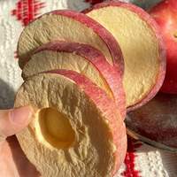 Heetverkopende Fuji Appel Knapperige Schijfjes/Vuile Vormpjes Zoete Gezonde Bulk/Vacuümverpakte Vriesgedroogde Fruitsnacks 5*5mm Kubus voor Wandelingen en Picknicks