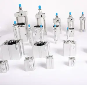 Cylinder Pneumatic High Quality China Customized ISO6431 Type ADVU Series Pneumatic Actuators Compact Pneumatic Air Cylinders