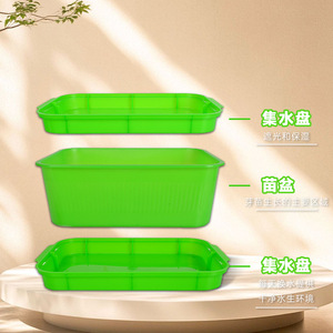 Bandejas para germinar brotes de frijol, macetas de germinación para brotes de frijol amarillos y verdes, hidroponía para cultivo en agua - Product Image 1