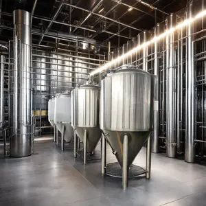 Nuevo tanque de fermentación de acero inoxidable de capacidad total de 1000L, fermentador de 1350L, venta de elaboración de cerveza, incluye capacidades de 500L, 200L, 300L, 100L