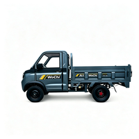 Camionnette quatre roues motrices, véhicule à énergie nouvelle avec moteur 2000W, fourgon électrique pour le transport de marchandises agricoles