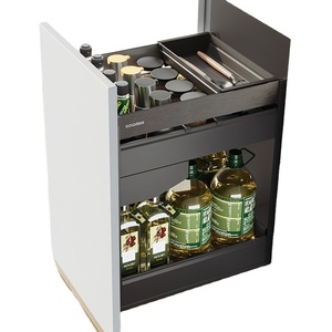 Goldmine-organizador de almacenamiento de especias, estante de condimentos extraíble, organizador de cocina, STLC - Product Image 1