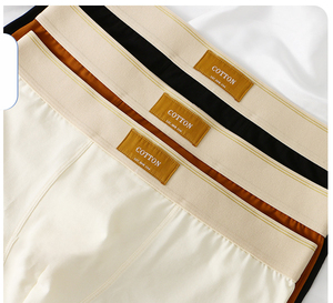 2025 New Arrival 95% Cotton Men's Underwear Comfortable Breathable Mid-waist <strong>Boxer</strong> Youth Underwear Pouch <strong>Boxer</strong> <strong>Shorts</strong>