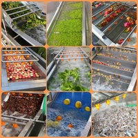 China Fabriek Fruit Groente Procesmachine Bosbessen Verwerkingslijn 500Kg 1000Kg Stro Berry Bosbessen Reinigingsmachine