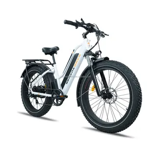 New Senada V8 With Back Seat 250 Watt Fat Bike All Terrain Mountain City 20*4.0 Inch Fat Tire Electric Bike