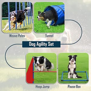 <span class=keywords><strong>Tunnel</strong></span> d'équipement d'agilité pour chien de combinaison de couleurs personnalisées ensemble de saut d'agilité pour chien de compagnie en plein air parcours d'obstacles pour la formation - Product Image 6