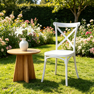 Chaise Chiavari Moderne Blanche en PP pour Vente en Gros, Empilable, pour Mariages en Plein Air, Banquets, Fêtes, Hôtels, Restaurants, <span class=keywords><strong>Locations</strong></span> - Product Image 5