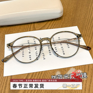 Montures de lunettes rondes Danyang Tr90 8161 pour femmes, protection contre la lumière bleue, verres PC, pont moyen, style rétro - Product Image 3