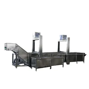 Máquina automática comercial do descongelamento do alimento da carne do lote do aquecimento da água do vapor com dispositivo de levantamento