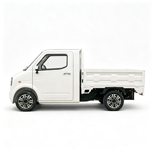 Mini camion électrique avec benne hydraulique, véhicule utilitaire fermé, <span class=keywords><strong>petit</strong></span> fourgonnette électrique <span class=keywords><strong>pour</strong></span> la livraison du dernier kilomètre - Product Image 1