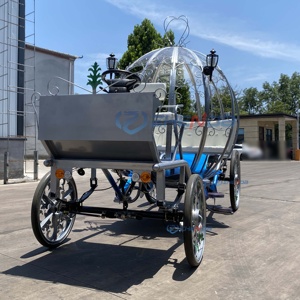 Carruaje de Princesa Cenicienta Eléctrico Más Vendido, Material de Acero, Carruaje de Boda con Forma de Calabaza, Transporte Especial - Product Image 5