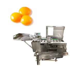 Process line automatic four-row egg separator egg yolk white separator for food commercial