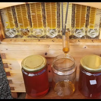 7 pièces/carton coule des cadres de ruche (uniquement des cadres) pour les fermes et l'équipement d'apiculture