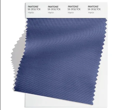 Bleu marine