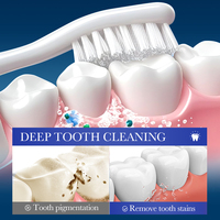 Dentifrice Blanchissant Menthe 100g Marque Blanche 377 Élimine les Taches Dentaires Soin Émail Haleine Fraîche Apaisant Sensibilité 12h OEM