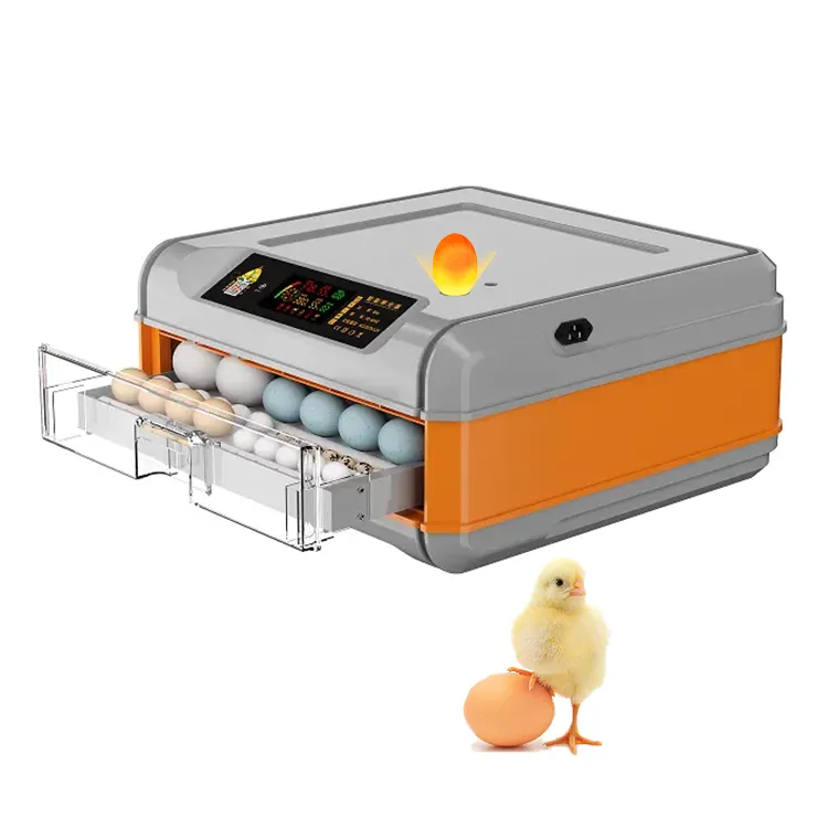 Weiqian-miniincubadora de huevos para el hogar, máquina de incubación de 64 huevos totalmente automática