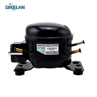 Compresor de Refrigerador y Congelador de Acero Inoxidable de Tamaño Pequeño R134A de 1/3HP, 1/4HP, 1/5HP, 1/6HP