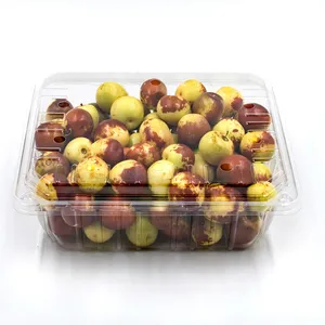 Disposable PET Transparent Clamshell Fresh Fruit Packaging Boxes Clear Plastic Blister Jujube Fruit Container Box