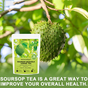 100% Organique Corosop Graviola Feuille Thé Savoureux Santé Sachet De Thé Supplément D'herbes Séchées De NATURE - Product Image 2