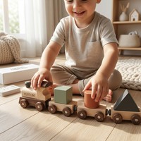 Jeu de tri de formes en bois Montessori personnalisé OEM avec cartes de correspondance logique, jouet éducatif personnalisé OEM pour boîte
