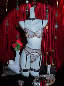 Ensemble <span class=keywords><strong>de</strong></span> lingerie féminine en résille transparente à imprimé animal, soutien-gorge à armatures, string, porte-jarretelles, collier ras du <span class=keywords><strong>cou</strong></span>, bretelles réglables, lingerie intime - Product Image 1