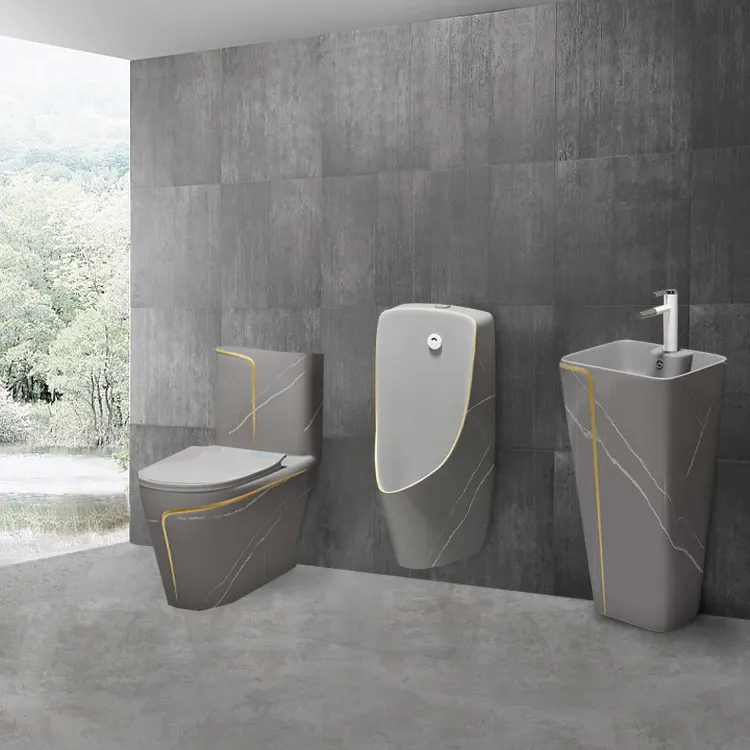 Perlengkapan Kamar Mandi Modern Toilet Matt Abu-abu Satu Potong Keramik dan Kolom Cekungan Toilet Set