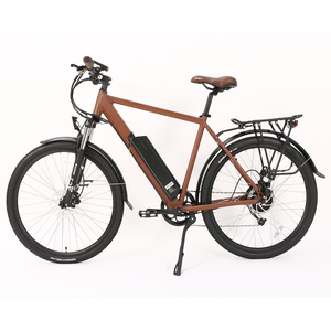 Bicicleta Eléctrica EMB16 de 28 Pulgadas con Llanta de Acero Inoxidable, Motor de 350W, Cuadro Bajo y 9 Velocidades para Dama - Product Image 3