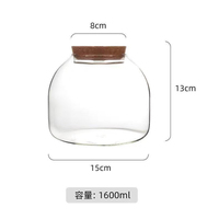 Terrariums en verre transparent avec lumière LED colorée, sans BPA, faits à la main, en verre borosilicate transparent de haute qualité avec couvercle en liège
