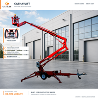 Vente chaude Mini Électrique Cross Country Camion Monté Tout Terrain Homme Ascenseur Boom Chenilles Articulé Boom Lift
