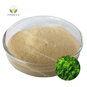 Порошок <span class=keywords><strong>Fucoidan</strong></span>, супер продукты, чистый натуральный экстракт водорослей, 5% - 95% порошок <span class=keywords><strong>Fucoidan</strong></span> - Product Image 1