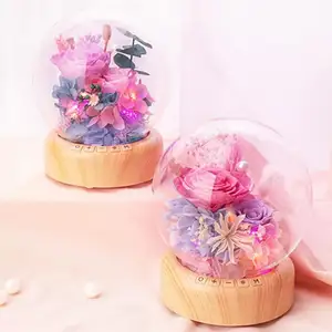 Amazing Hot Selling Fashion Kids Table Light Led Preserved Flower Music Night Lamp For Valentine's Day Birthday Gifts