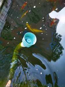 ฝาครอบกรองน้ำสำหรับบ่อ<span class=keywords><strong>ปลา</strong></span>คาร์<span class=keywords><strong>ฟ</strong></span>ลอยน้ำ อุปกรณ์เสริมสำหรับทำความสะอาดตู้<span class=keywords><strong>ปลา</strong></span>และ<span class=keywords><strong>บ่อ</strong></span> - Product Image 6