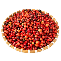 Café Robusta du Vietnam, Grains Torréfiés de Haute Qualité, Certifié HACCP, Marque KHANG, Emballage en Sac, Durée de Conservation de 12 Mois