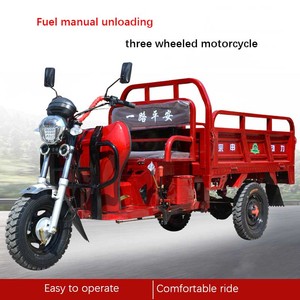 Tricycle Cargo de <span class=keywords><strong>Moto</strong></span> à Faible Consommation de Carburant, Tricycle à Moteur 3 <span class=keywords><strong>Roues</strong></span>, Tricycle Motorisé à Essence - Product Image 3