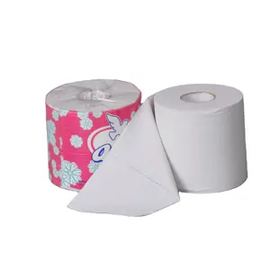 กระดาษทิชชูในห้องน้ำ,กระดาษชำระที่สะอาดและมีสุขภาพดี